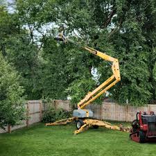 Best Tree and Shrub Care  in Ogdensburg, NY