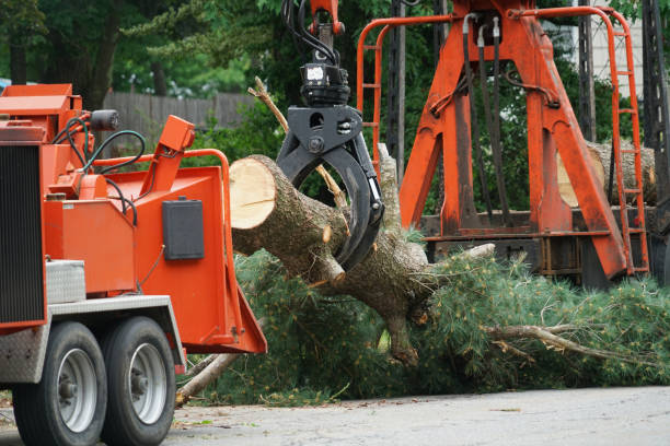 Mulching Services in Ogdensburg, NY